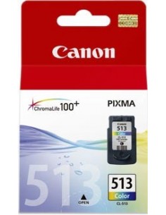 Cartucho de tinta OEM CL513 - 2971B001