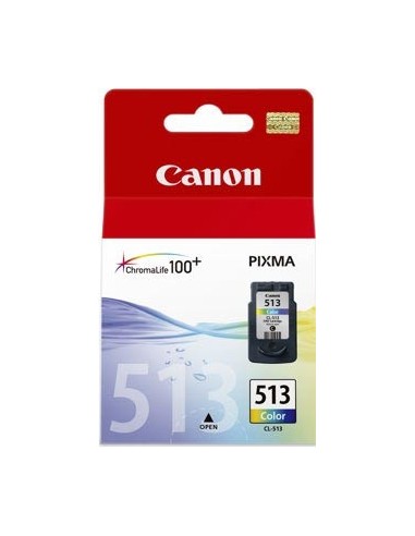 Cartucho de tinta OEM CL513 - 2971B001