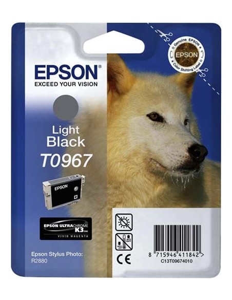 Cartucho de tinta OEM C13T09674010