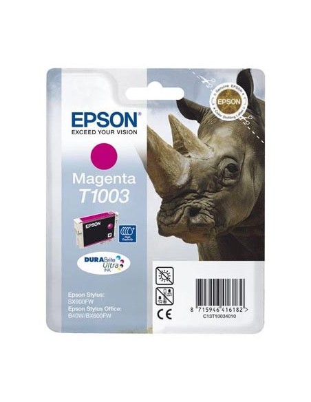 Cartucho de tinta OEM C13T10034010